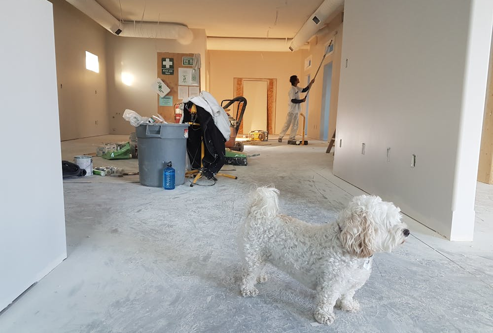 How to Choose a Dumpster for a Home Renovation Project