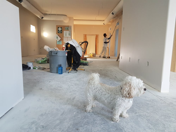 How to Choose a Dumpster for a Home Renovation Project