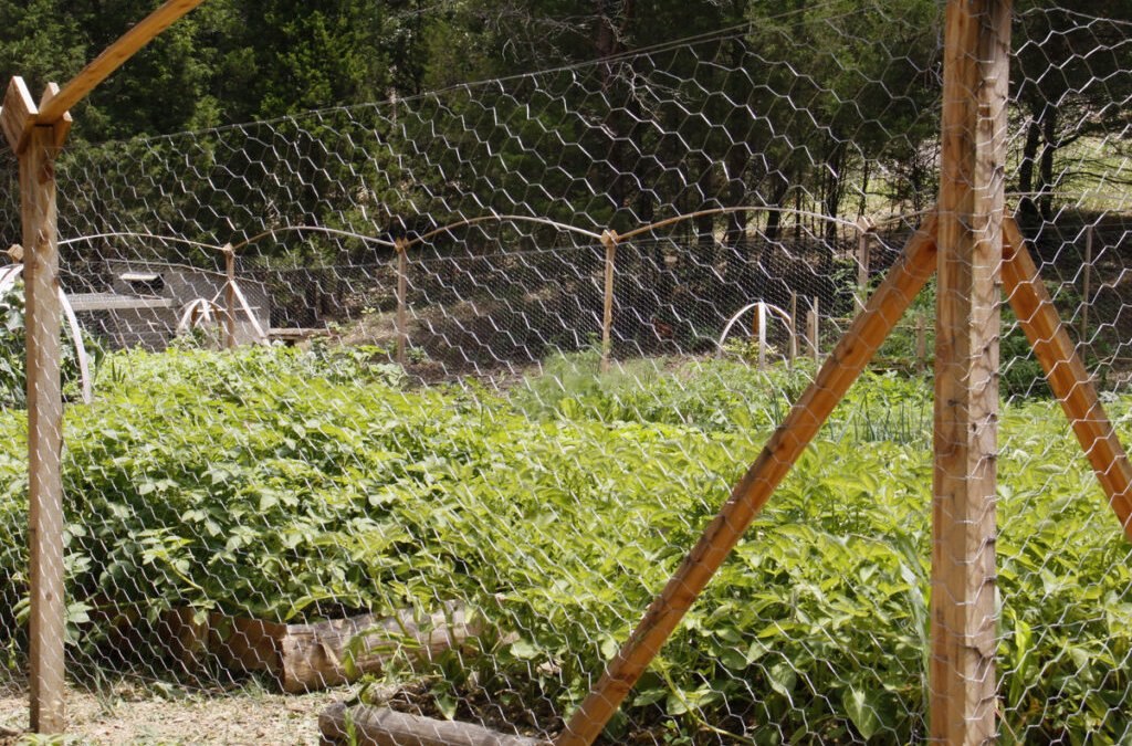 How to Reinforce Your Backyard with Chicken Wire