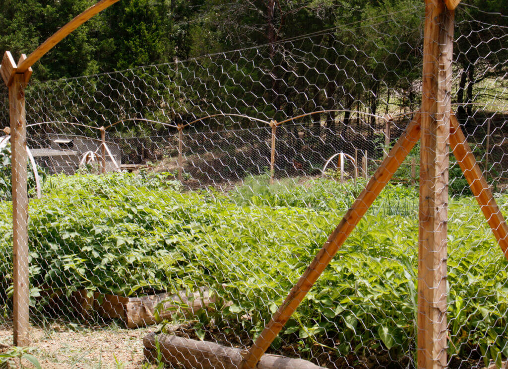 How to Reinforce Your Backyard with Chicken Wire