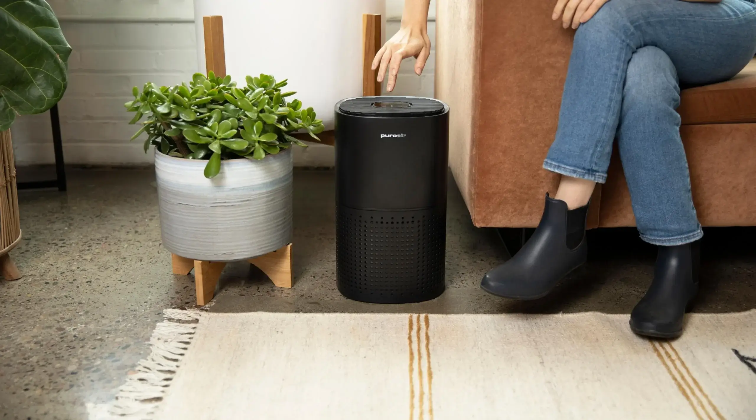 PuroAir Review: The Best Air Purifier For Pet Dander

