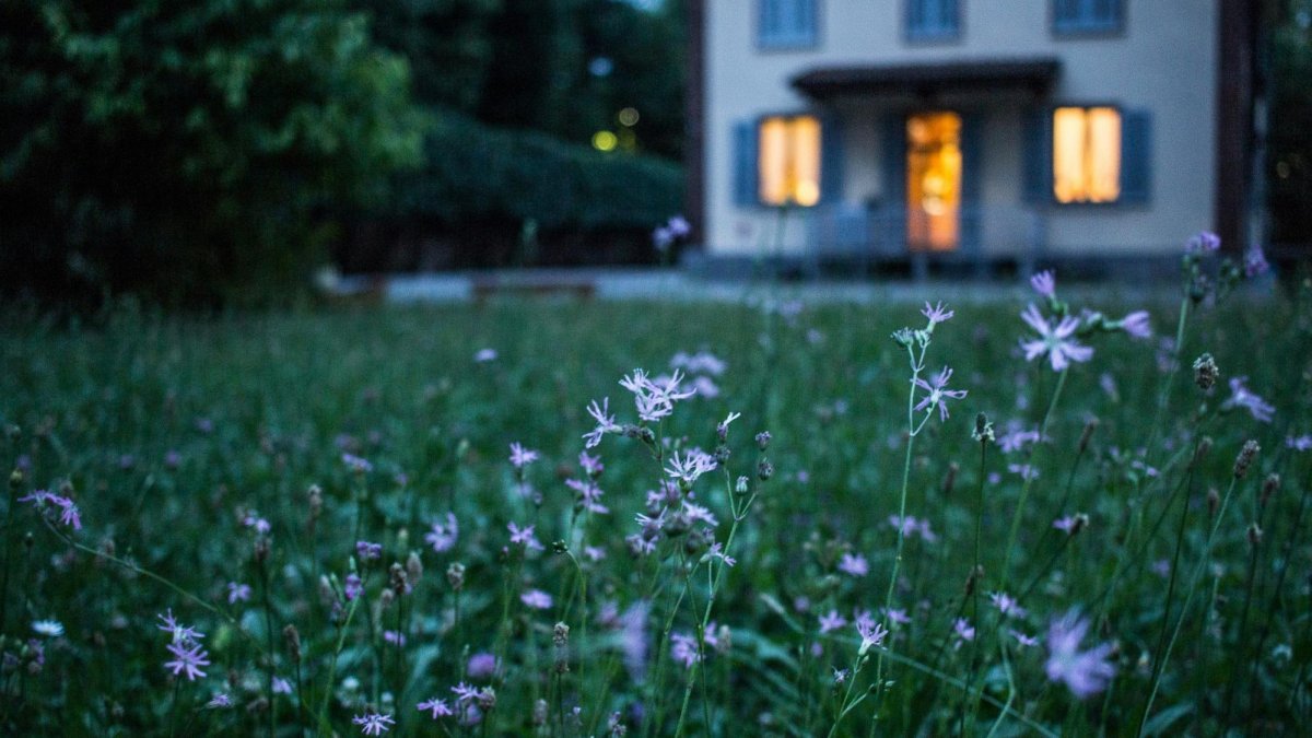 How to Maintain a Century-Old Home Effectively