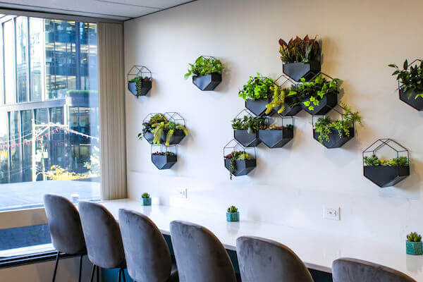 Commercial Artificial Plants: The Simple, Sophisticated Solution for Contemporary Spaces

