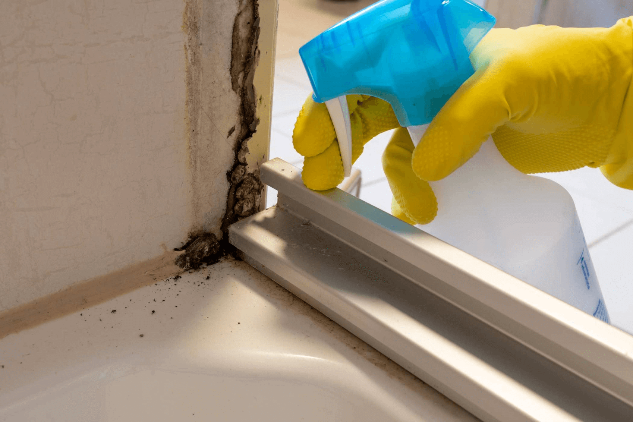 How to Prevent Future Water Damage
