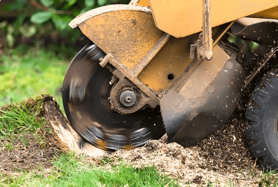 Stump Grinding is Quick, Clean, and Mostly Out of Sight