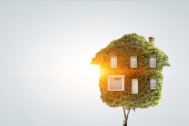 Eco-Friendly Home Upgrades: Go Green on a Budget Today