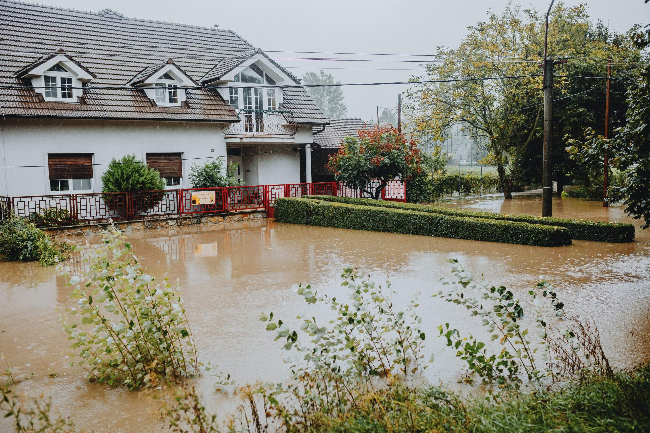 Flooded Basement Cleanup Essential Steps to Restore Your Home After Water Damage