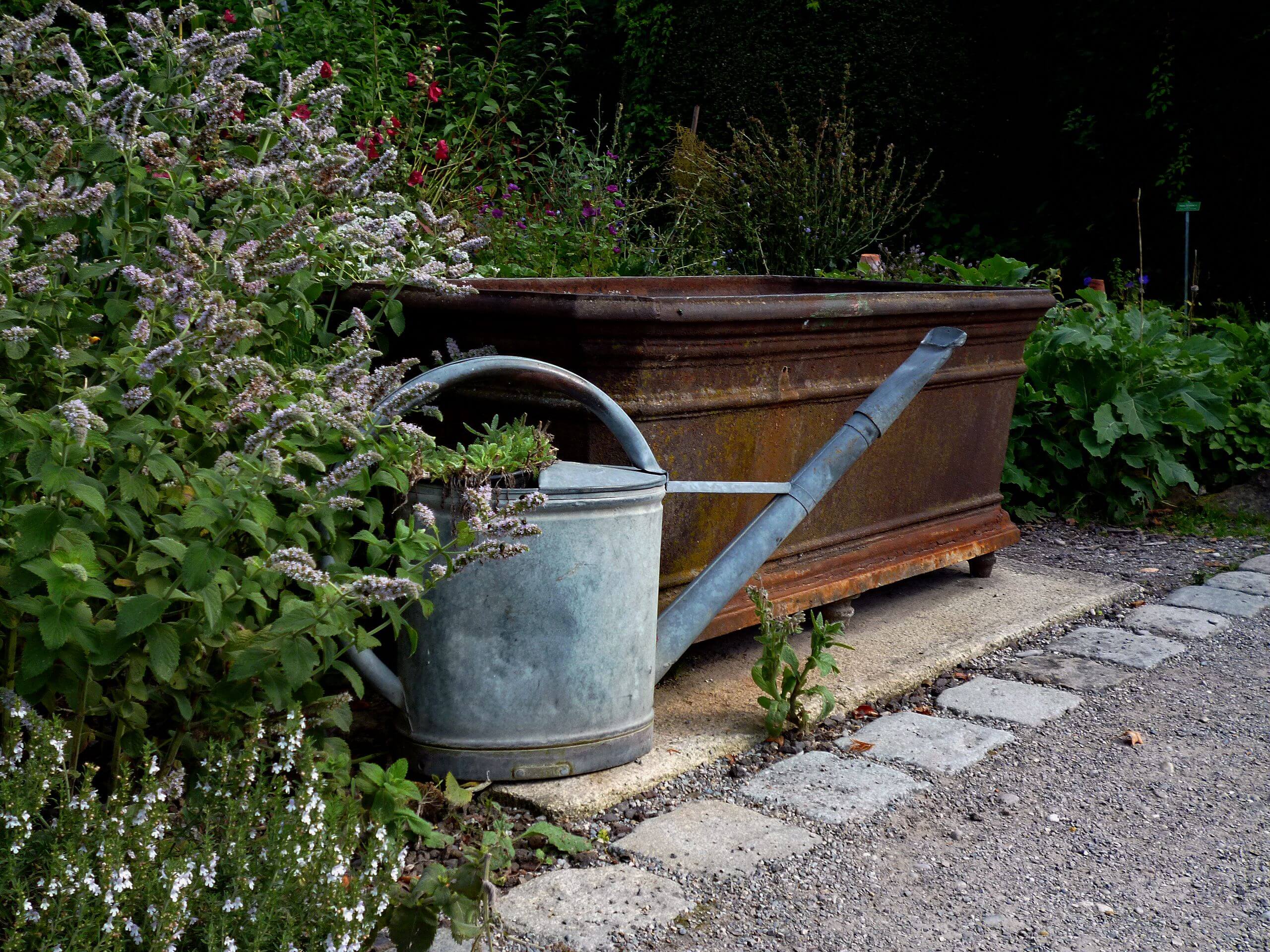 How Can Architectural Features Improve a Backyard or Garden?