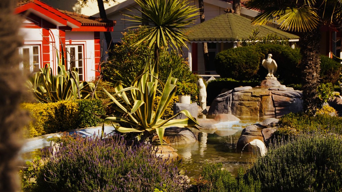 How Can Architectural Features Improve a Backyard or Garden?