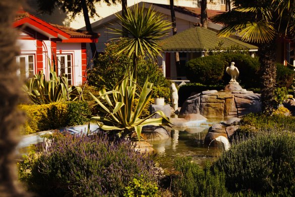 How Can Architectural Features Improve a Backyard or Garden?