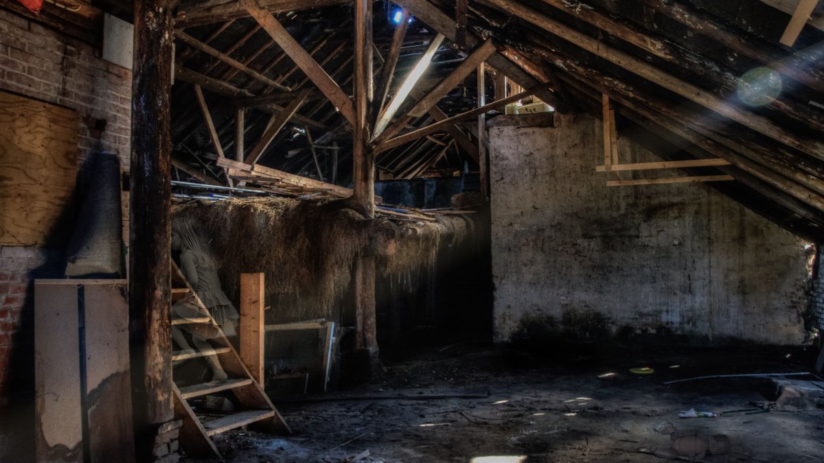 When Aging Attic Insulation Needs Full Extraction and Removal