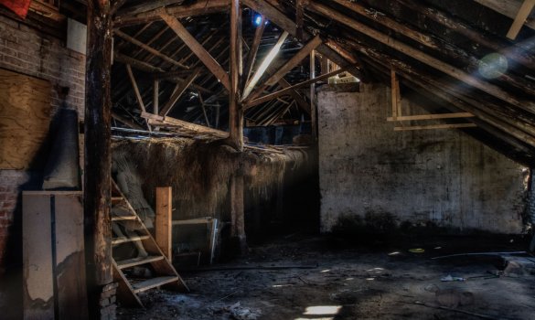 When Aging Attic Insulation Needs Full Extraction and Removal