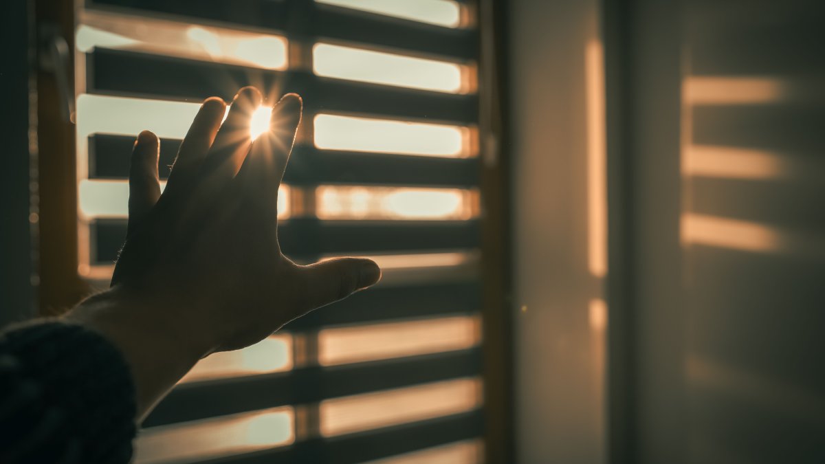 How Can Window Coverings Balance Privacy and Natural Light?