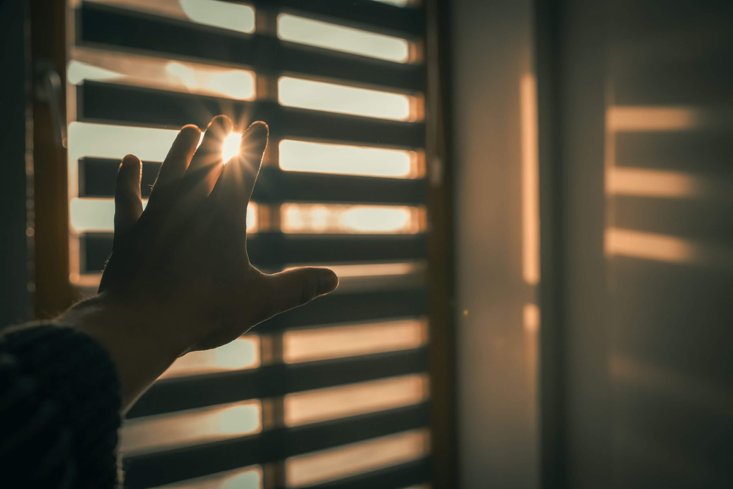 How Can Window Coverings Balance Privacy and Natural Light?