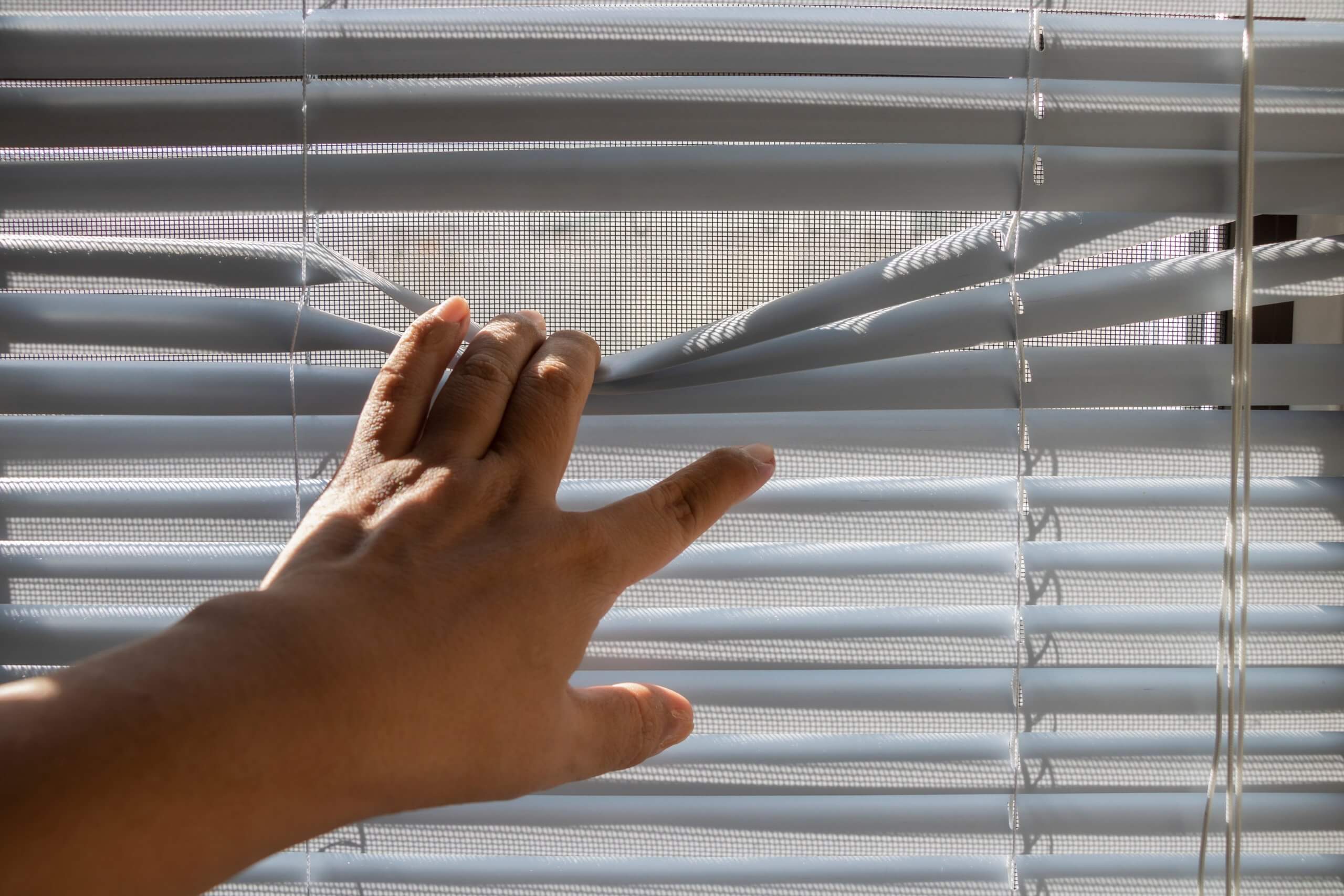 How Can Window Coverings Balance Privacy and Natural Light?